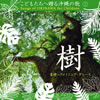 こどもたちへ贈る沖縄の歌２「樹」（CD） 